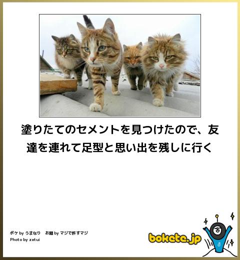動物のボケて貼って下さい
