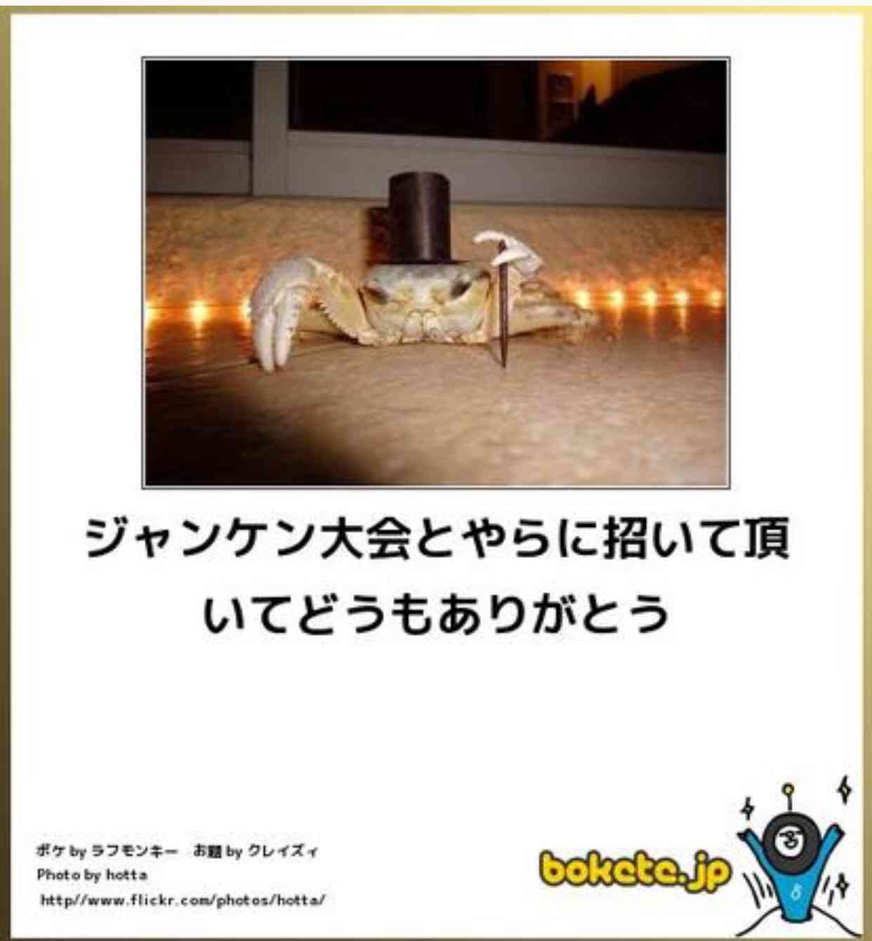 動物のボケて貼って下さい