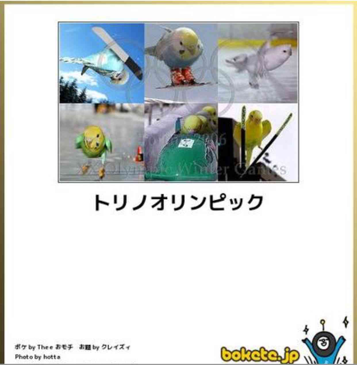 動物のボケて貼って下さい