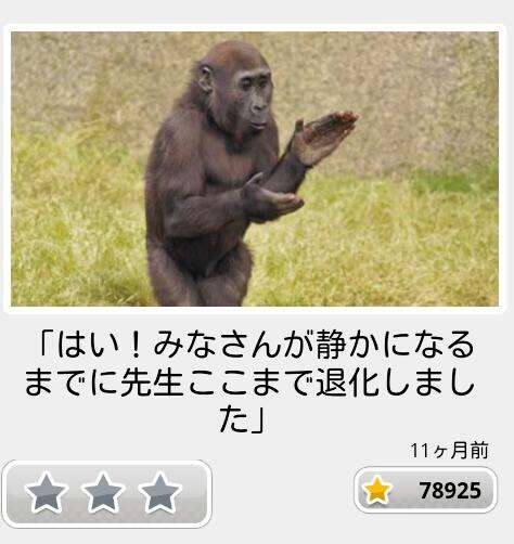 動物のボケて貼って下さい