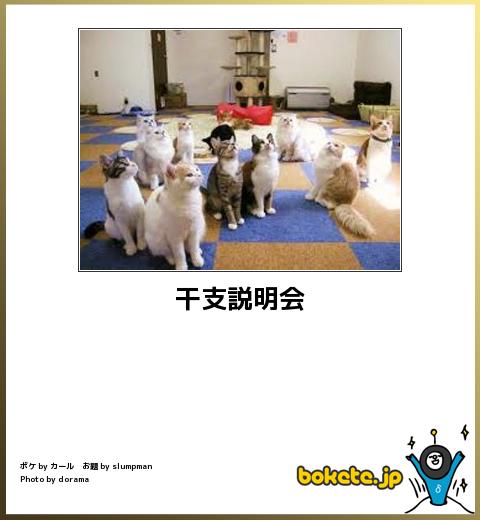 動物のボケて貼って下さい