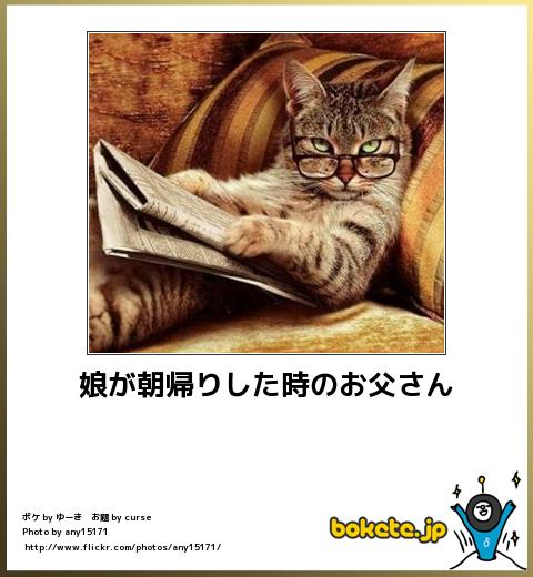 動物のボケて貼って下さい