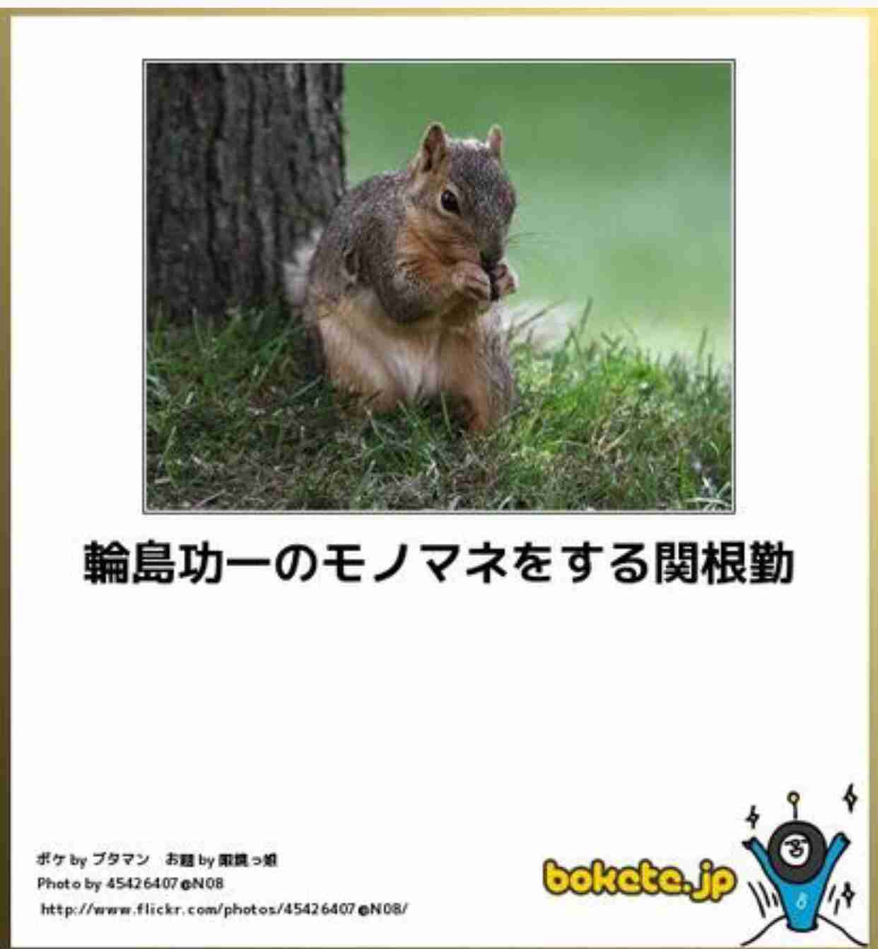 動物のボケて貼って下さい