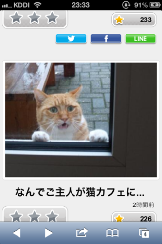 動物のボケて貼って下さい
