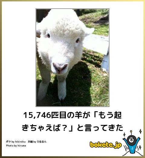 動物のボケて貼って下さい