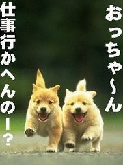動物のボケて貼って下さい