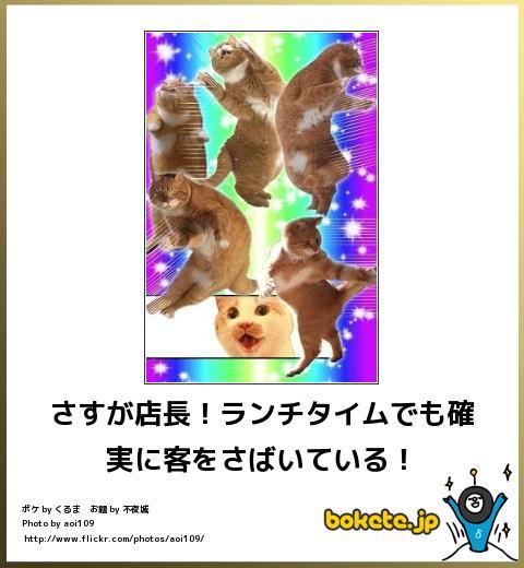 動物のボケて貼って下さい