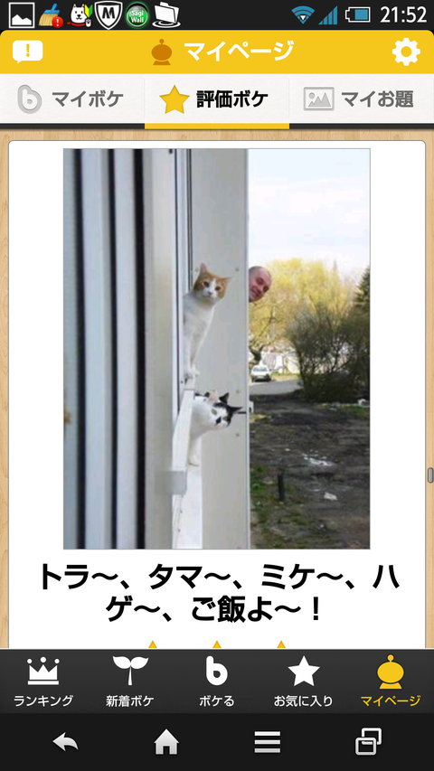 動物のボケて貼って下さい
