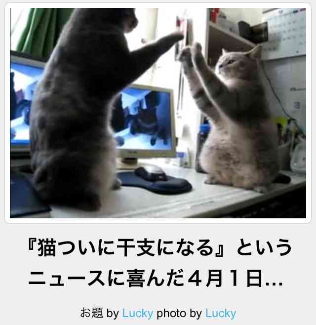 動物のボケて貼って下さい