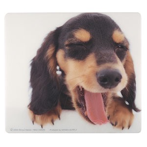 1番好きな犬の種類教えて