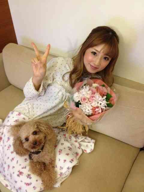 1番好きな犬の種類教えて