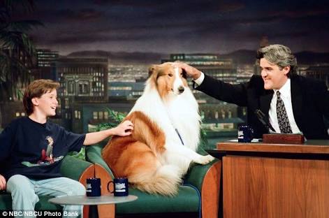 1番好きな犬の種類教えて