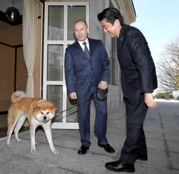 1番好きな犬の種類教えて