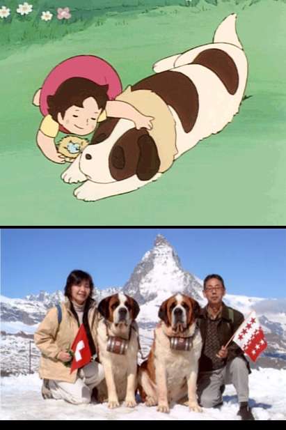 1番好きな犬の種類教えて