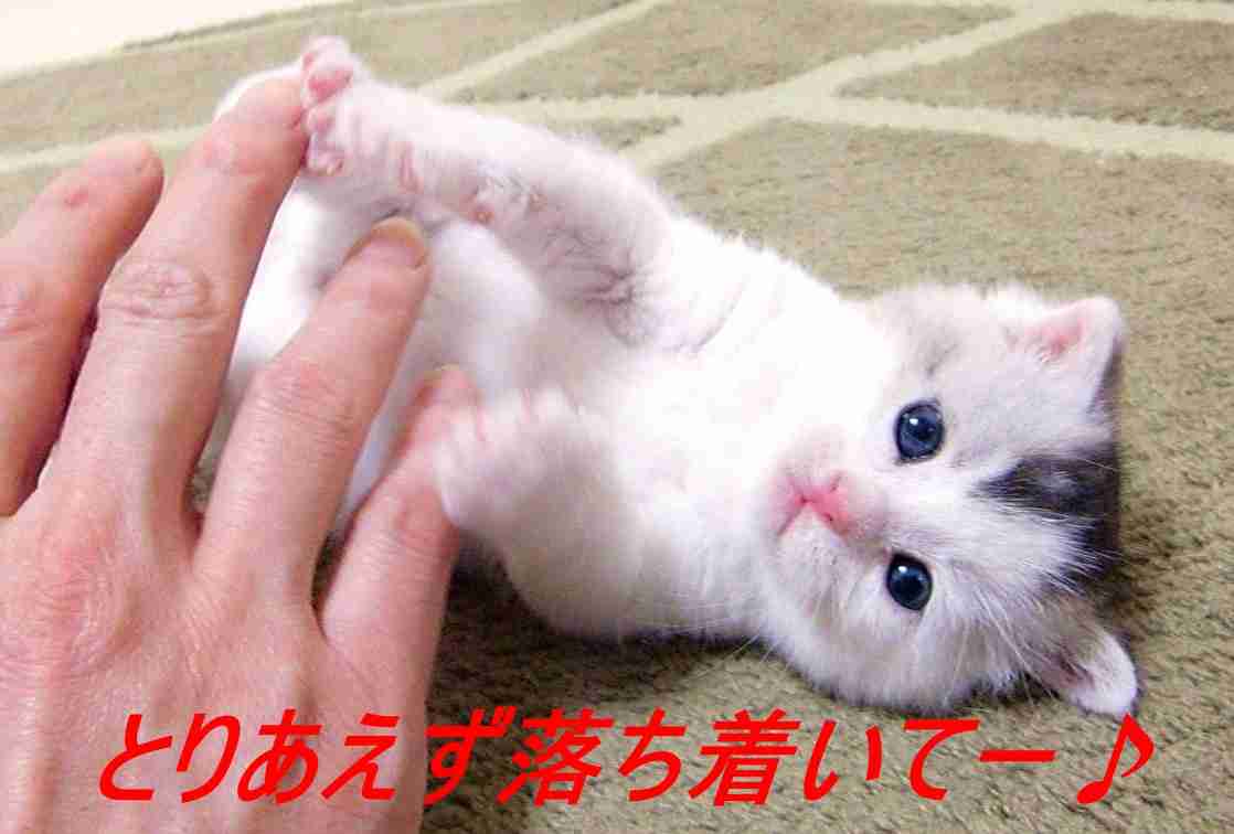 精神疾患を持ちながら育児してる人