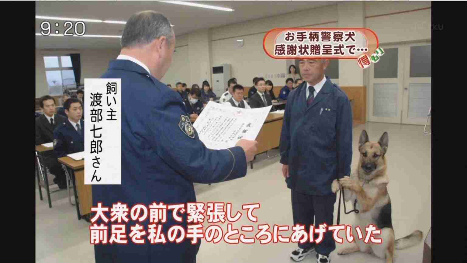 和む画像を集めるトピ