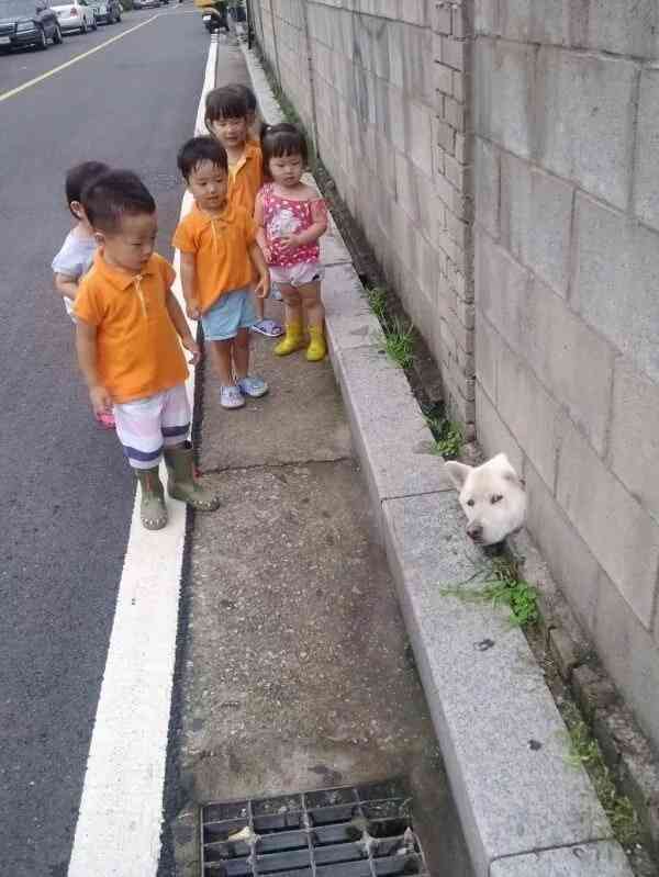 和む画像を集めるトピ