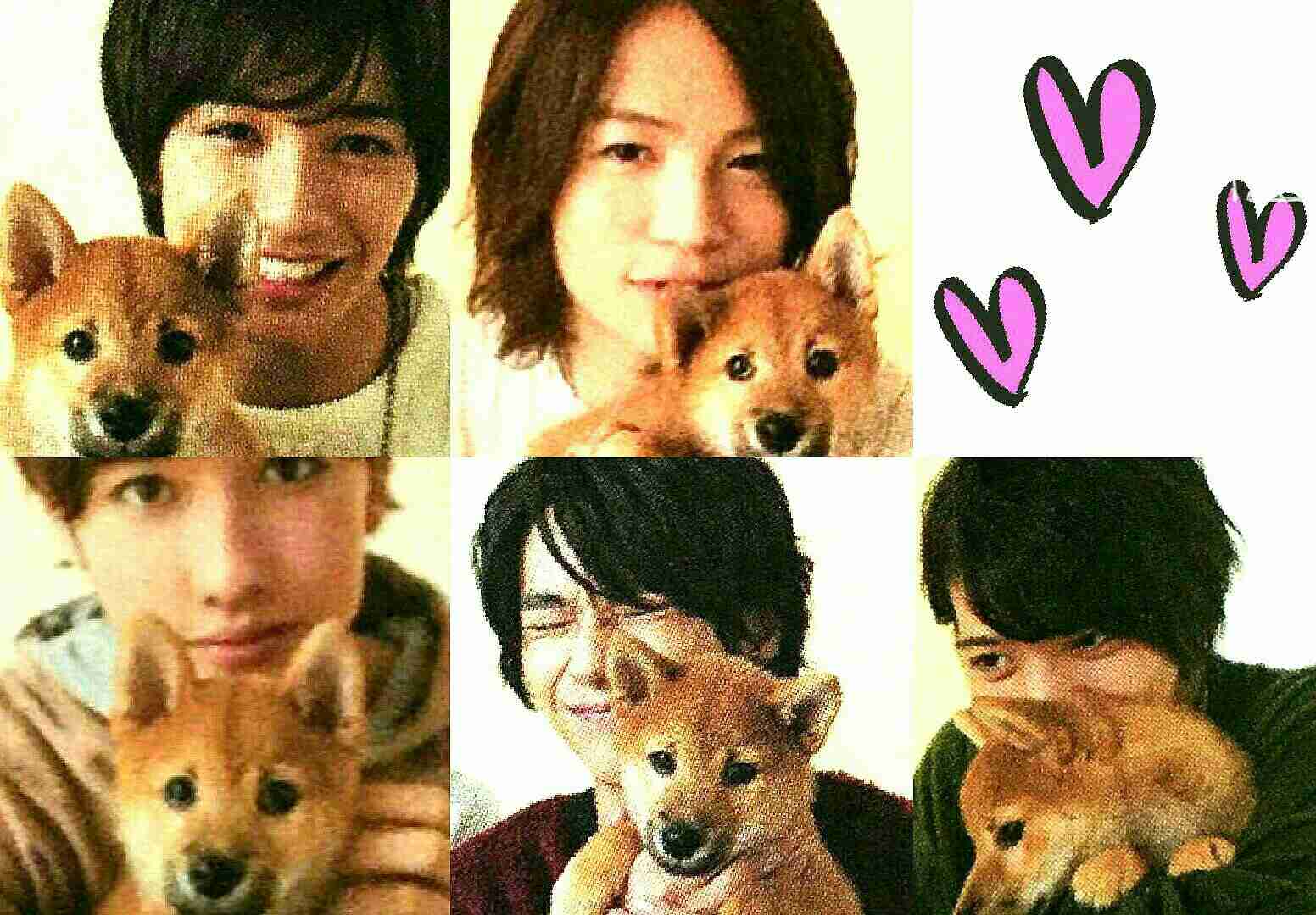 和む画像を集めるトピ