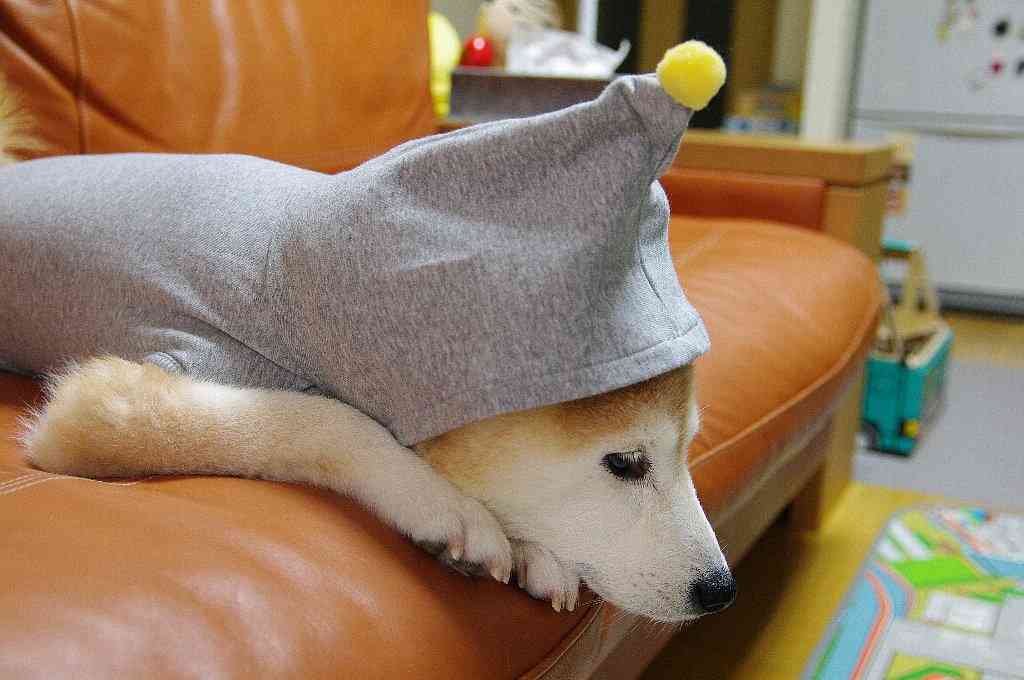 和む画像を集めるトピ
