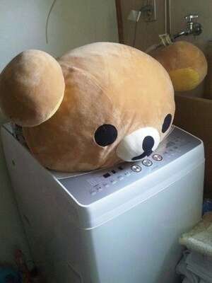 和む画像を集めるトピ