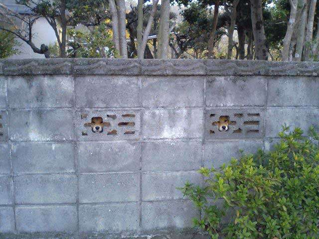 和む画像を集めるトピ