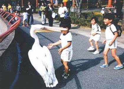 和む画像を集めるトピ