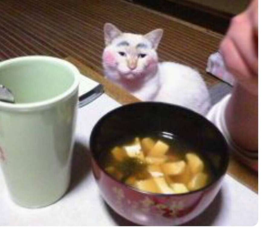 和む画像を集めるトピ