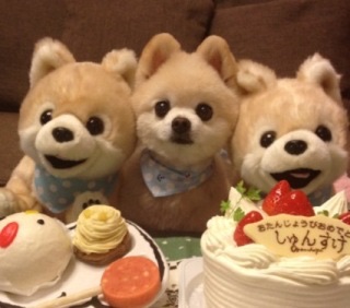 和む画像を集めるトピ
