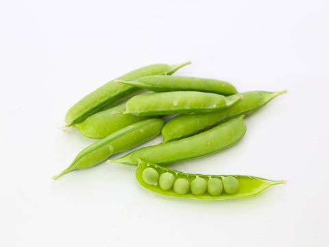 豆が好き!