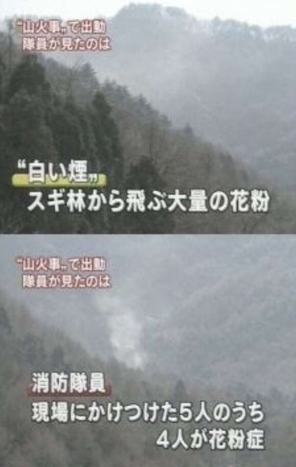 笑えるテロップを貼るトピ