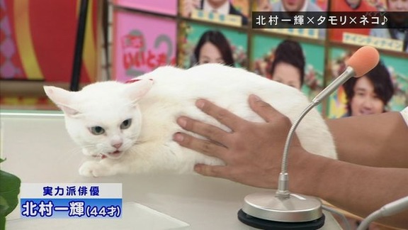 笑えるテロップを貼るトピ