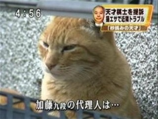 笑えるテロップを貼るトピ