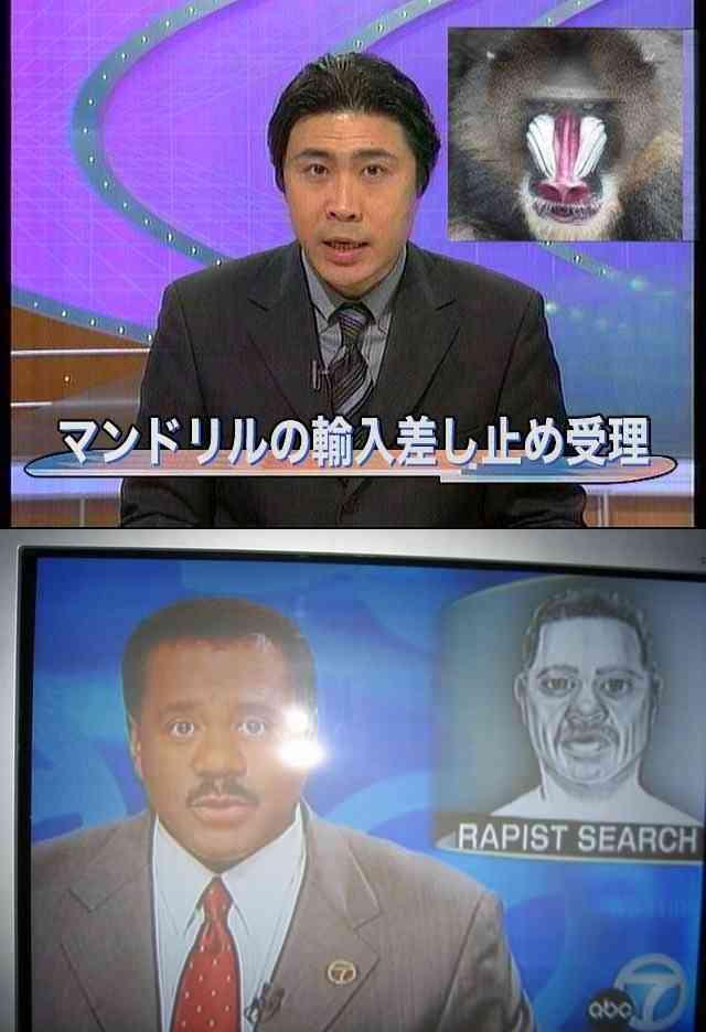 笑えるテロップを貼るトピ