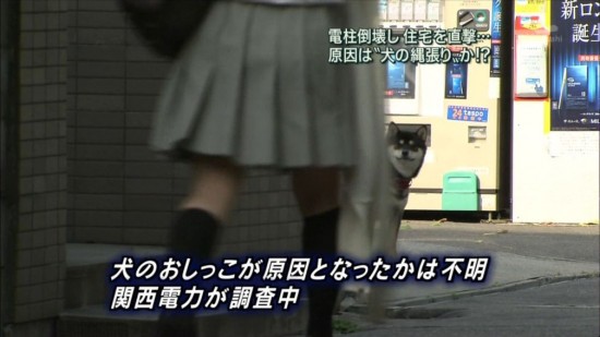 笑えるテロップを貼るトピ