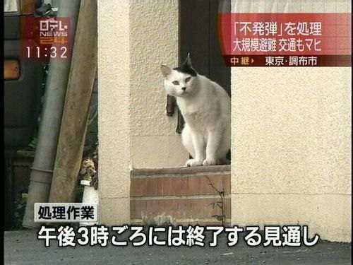 笑えるテロップを貼るトピ