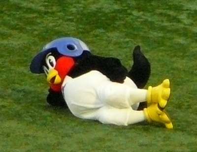 暑さでダラけた感じの動物さんの画像ください