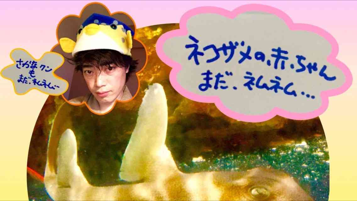 さかなクン好きな人