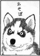 大型犬好きさん集まれ〜〜