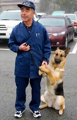 大型犬好きさん集まれ〜〜