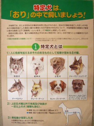 大型犬好きさん集まれ〜〜