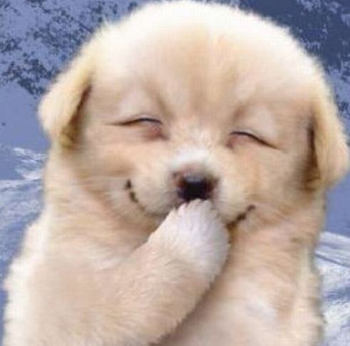 “秒速1億円”実業家の与沢翼氏　モデルの相原麻美と結婚！12月パパに