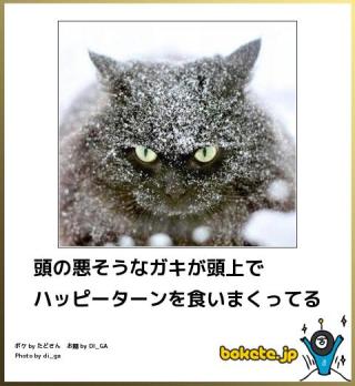 世の中にあふれる面倒くさそうなこと