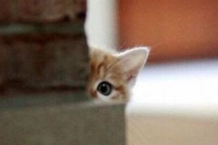 今日誰と会話をしましたか？