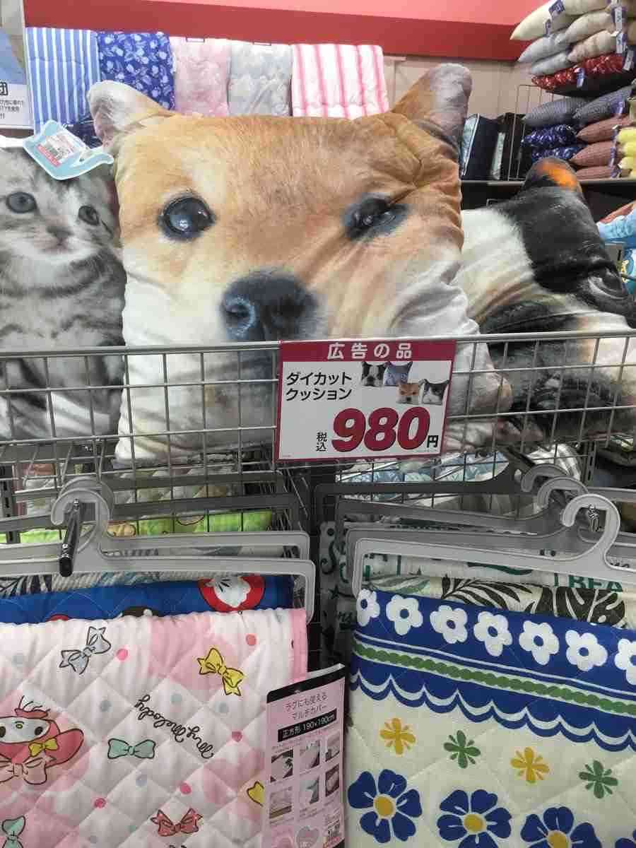 しまむらあるある