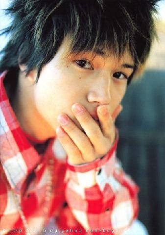 芸能人の大好きな1枚