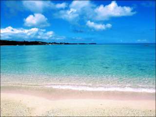 海水浴あるある