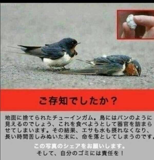 知ってほしいニュースを好きに貼るトピ