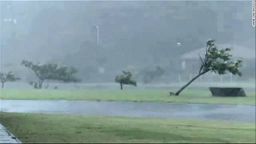沖縄あるあるー!