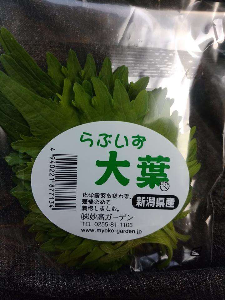 使い道なさそうな画像