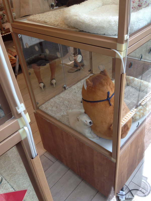 使い道なさそうな画像